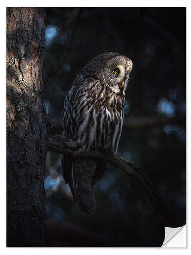 Sisustustarra The great grey owl