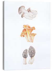 Canvas print Mushrooms