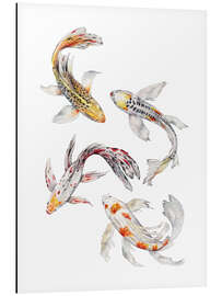 Aluminium print Koi Fish