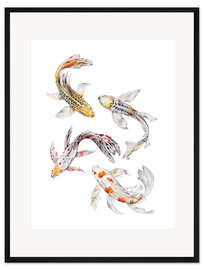 Gerahmter Kunstdruck Koi Fisch