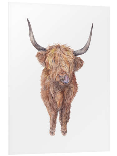 Foam board print Highland Cow