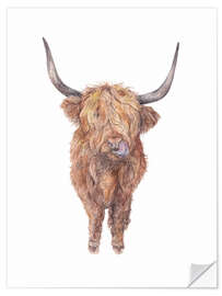 Wall sticker Highland Cow