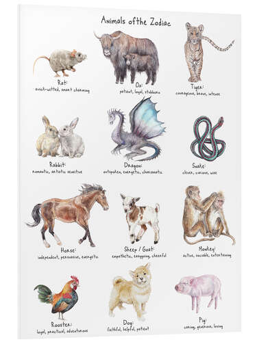 Foam board print Animals of the Zodiac