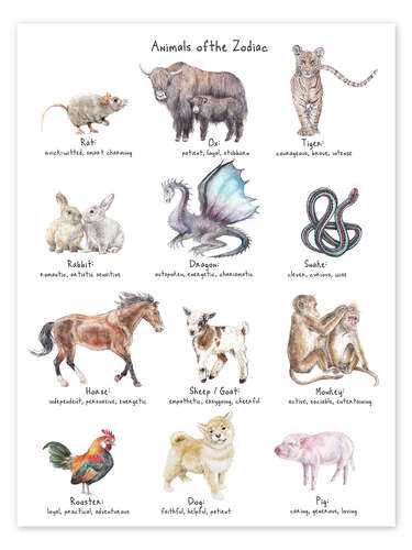 Poster Animals of the Zodiac