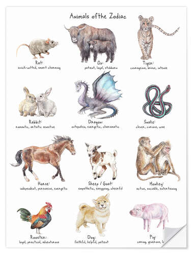 Självhäftande poster Animals of the Zodiac