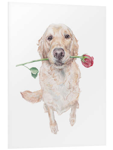 Print på skumplade Golden retriever med rose