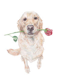Magnettafel Golden Retriever mit Rose