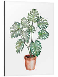 Alubild Moderne Monstera-Pflanze