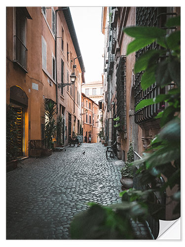 Wall sticker Alley in Rome