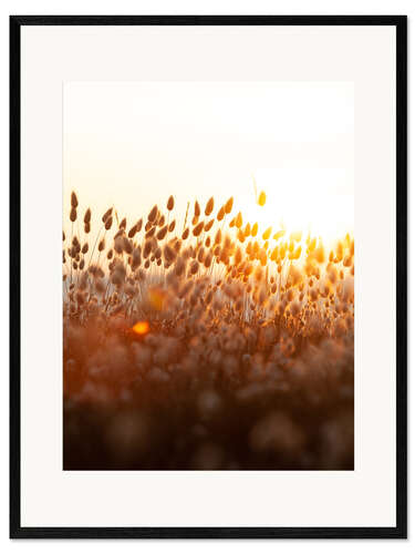 Kunsttryk i ramme Sunset field