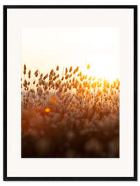 Kunsttryk i ramme Sunset field