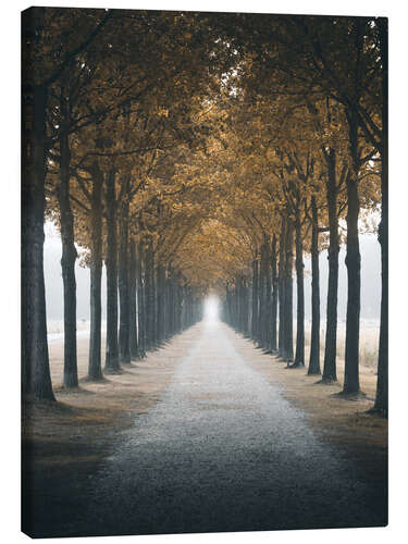 Canvas-taulu Autumn alley