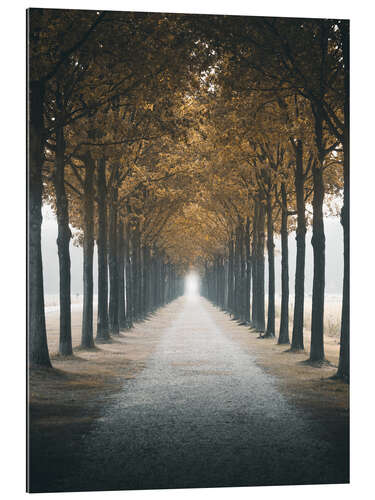 Gallery print Autumn alley