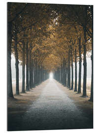 Tableau en plexi-alu Autumn alley