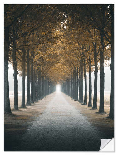 Selvklebende plakat Autumn alley