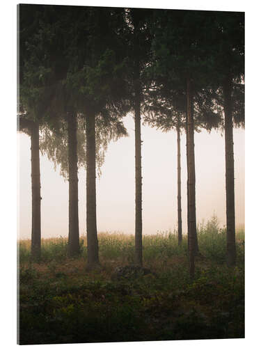 Acrylic print Foggy morning