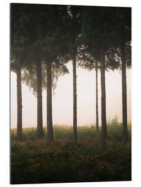 Tableau en plexi-alu Foggy morning