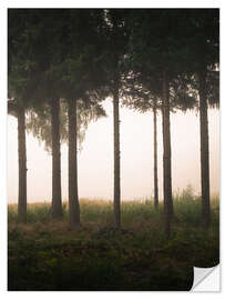 Selvklebende plakat Foggy morning