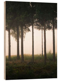 Wood print Foggy morning - articstudios