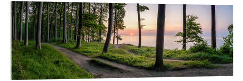 Acrylglas print Sunrise in the Jasmund National Park on Rügen