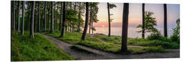 Aluminium print Sunrise in the Jasmund National Park on Rügen