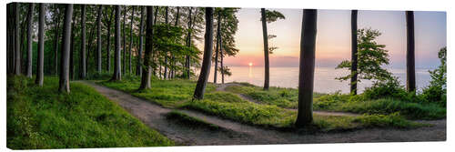 Canvas-taulu Sunrise in the Jasmund National Park on Rügen