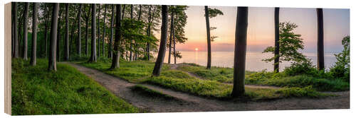 Holzbild Sonnenaufgang im Nationalpark Jasmund auf Rügen