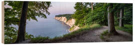 Tableau en bois Chalk cliffs in the Jasmund National Park on Ruegen