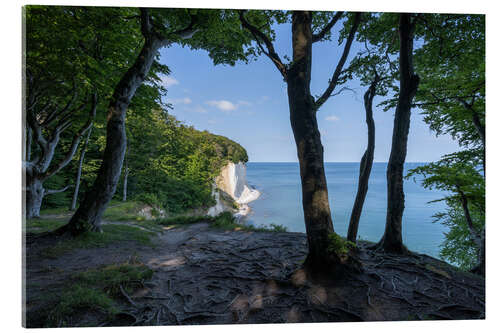 Quadro em acrílico Chalk cliffs in the Jasmund National Park