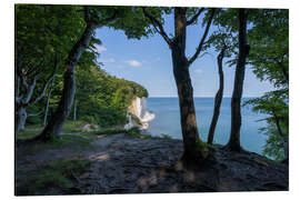 Aluminium print Chalk cliffs in the Jasmund National Park