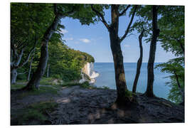 PVC print Chalk cliffs in the Jasmund National Park