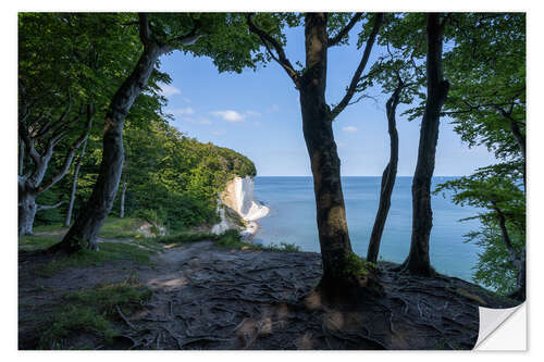 Naklejka na ścianę Chalk cliffs in the Jasmund National Park