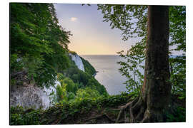 Aluminium print Victoria viewpoint on the Koenigsstuhl rocks on Ruegen