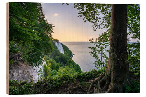 Cuadro de madera Victoria viewpoint on the Koenigsstuhl rocks on Ruegen