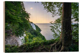 Tableau en bois Victoria viewpoint on the Koenigsstuhl rocks on Ruegen