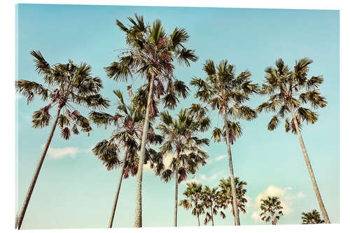 Acrylic print California