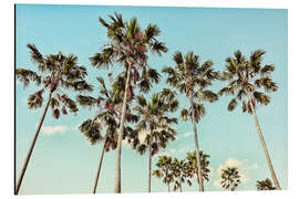 Magnettafel Kalifornien