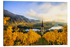 Aluminiumtavla Bremm Moselle loop, vineyards in yellow autumn colors