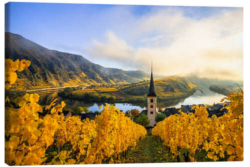 Canvas print Bremm Moselle loop, vineyards in yellow autumn colors