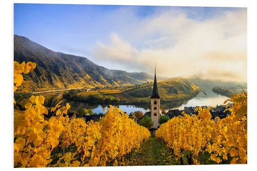 Quadro em PVC Bremm Moselle loop, vineyards in yellow autumn colors