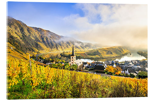 Cuadro de metacrilato Moselle in autumn