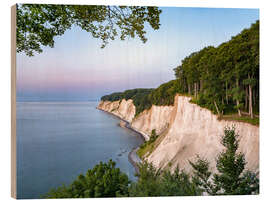 Holzbild Kreidefelsen an der Ostseeküste auf Rügen