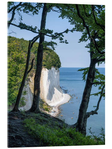 Acrylic print Chalk cliffs and beech forest on Rügen