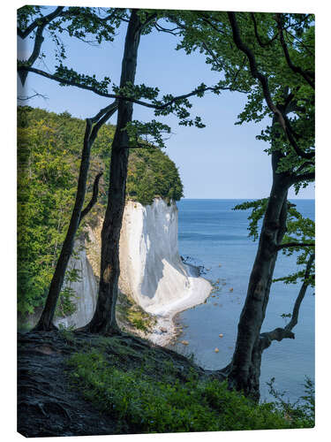 Canvas print Chalk cliffs and beech forest on Rügen