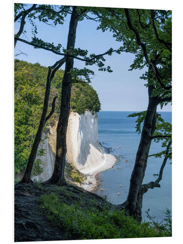 PVC-taulu Chalk cliffs and beech forest on Rügen