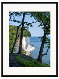 Gerahmter Kunstdruck Kreidefelsen und Buchenwald auf Rügen