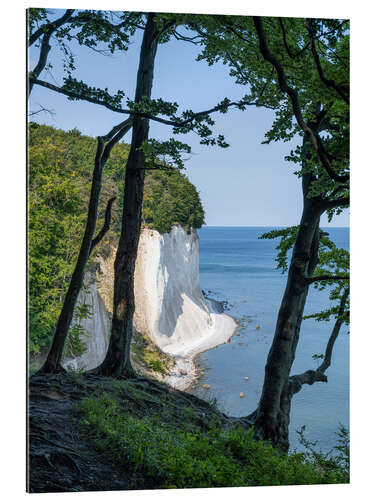 Gallery Print Kreidefelsen und Buchenwald auf Rügen