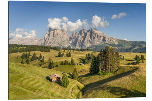 Galleritryk Summer on the Alpe di Siusi in South Tyrol