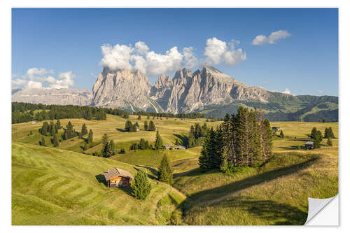 Vinilo para la pared Summer on the Alpe di Siusi in South Tyrol