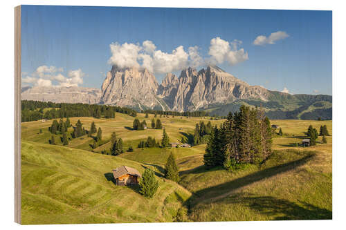 Trebilde Summer on the Alpe di Siusi in South Tyrol